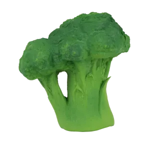 Brucy the Broccoli