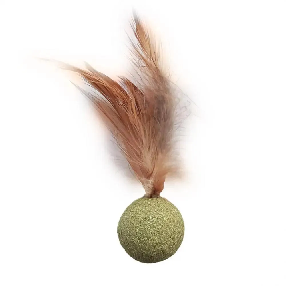 Edible Catnip Ball for Cats – Promotes Health & Dental Care