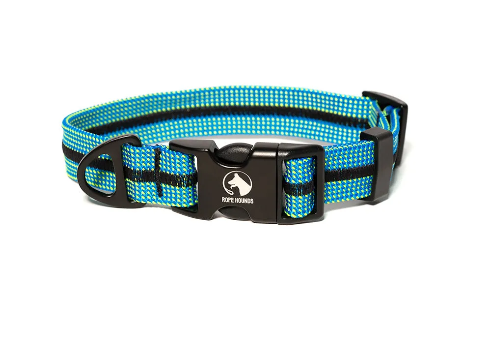 Fi Compatible Collar Band - Blues