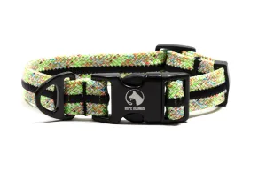 Fi Compatible Collar Band - Multicolor