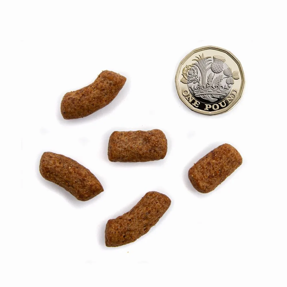 Free Range Chicken & Salmon Medium/ Large Breed Dog Dry Food