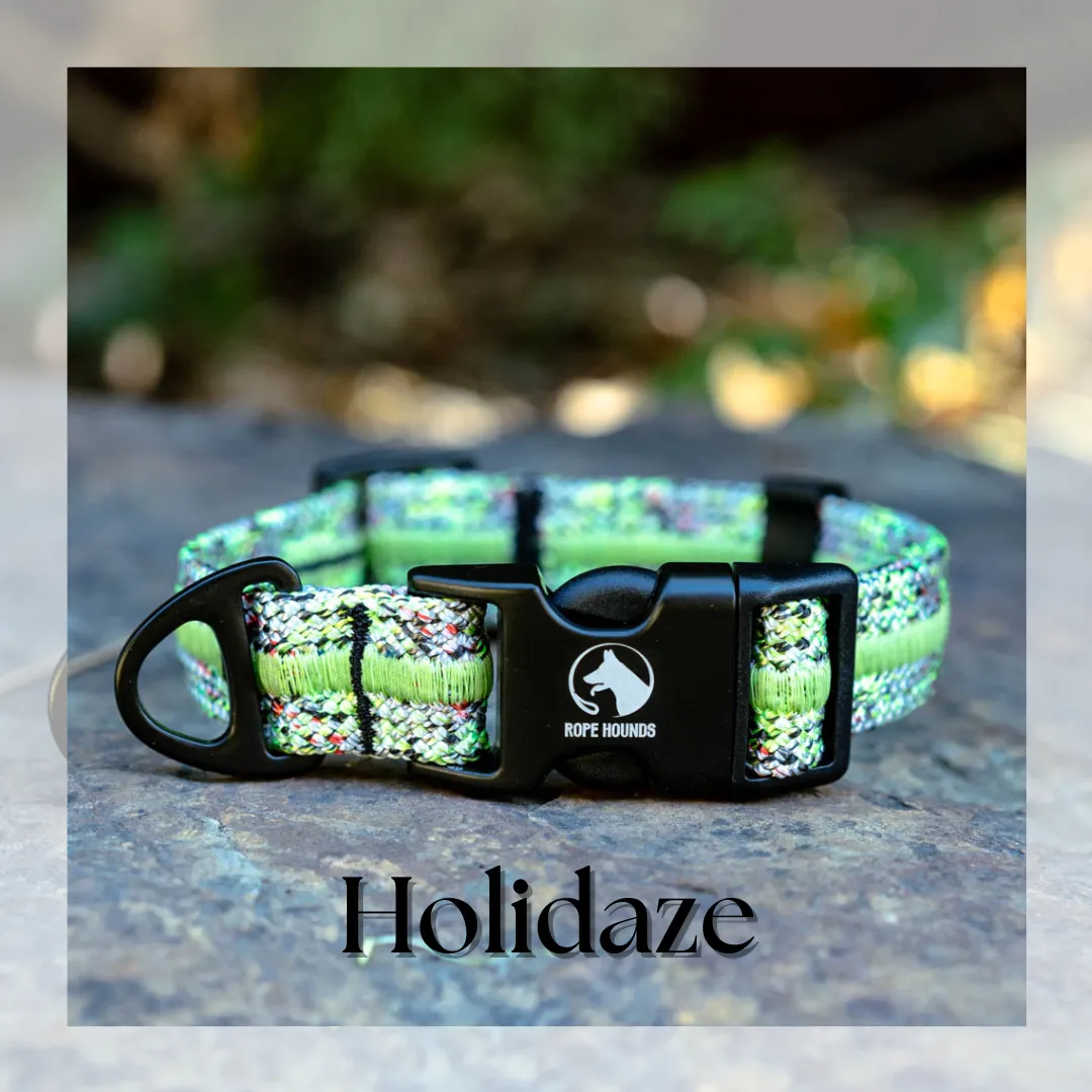 HOLIDAZE Fi Compatible Collar - HOLIDAY RELEASE