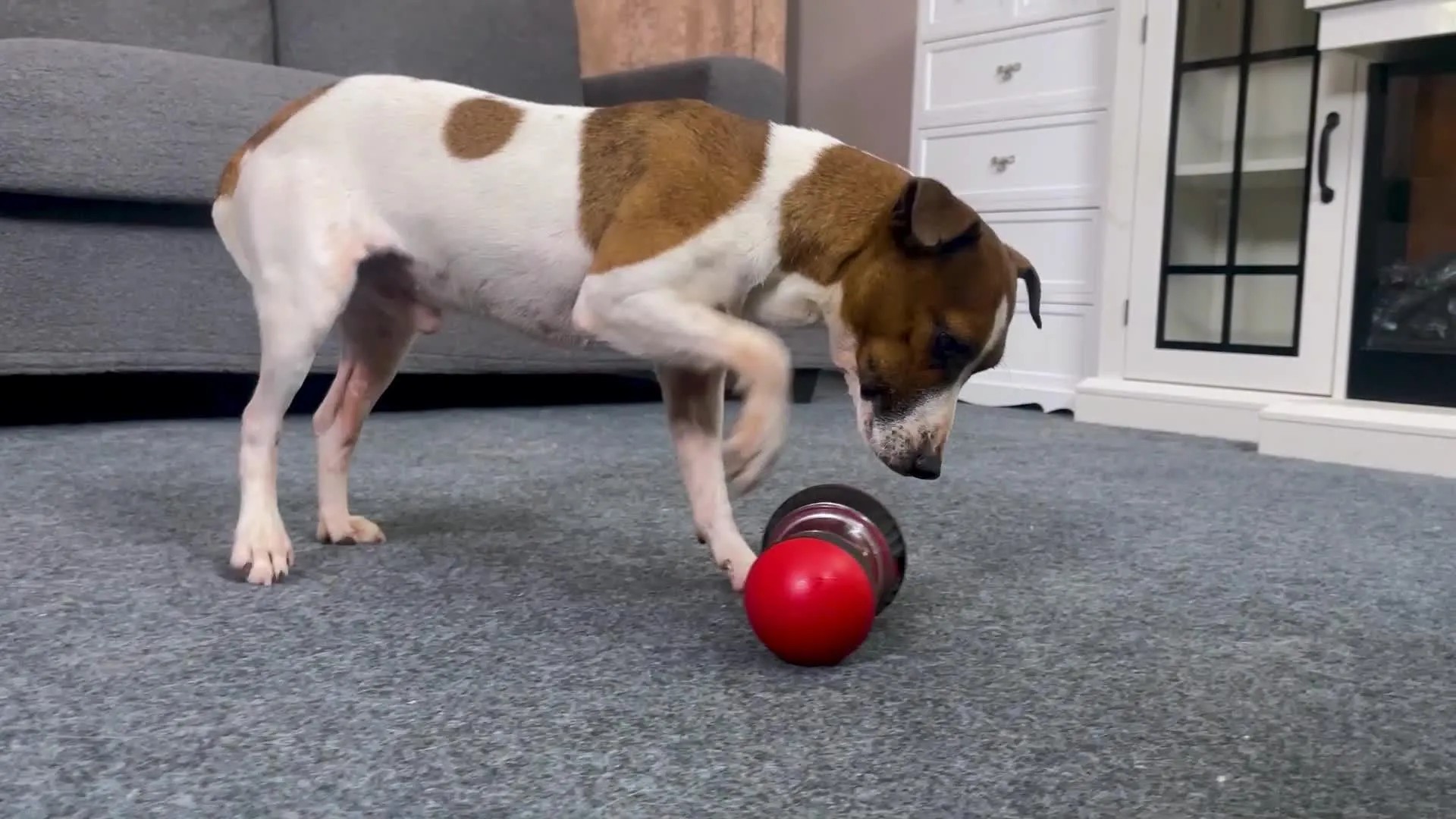 Interactive Slow Feeder Dog Toy - Ball-Shaped Food Dispenser