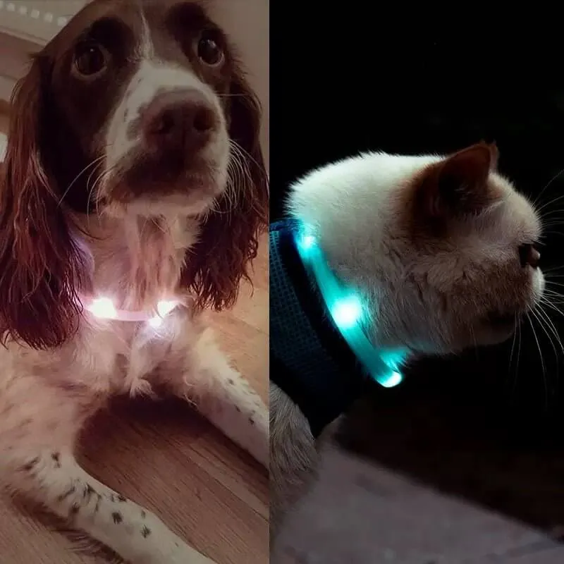 Led Light Pet Safety Dog Collar for Night Walking