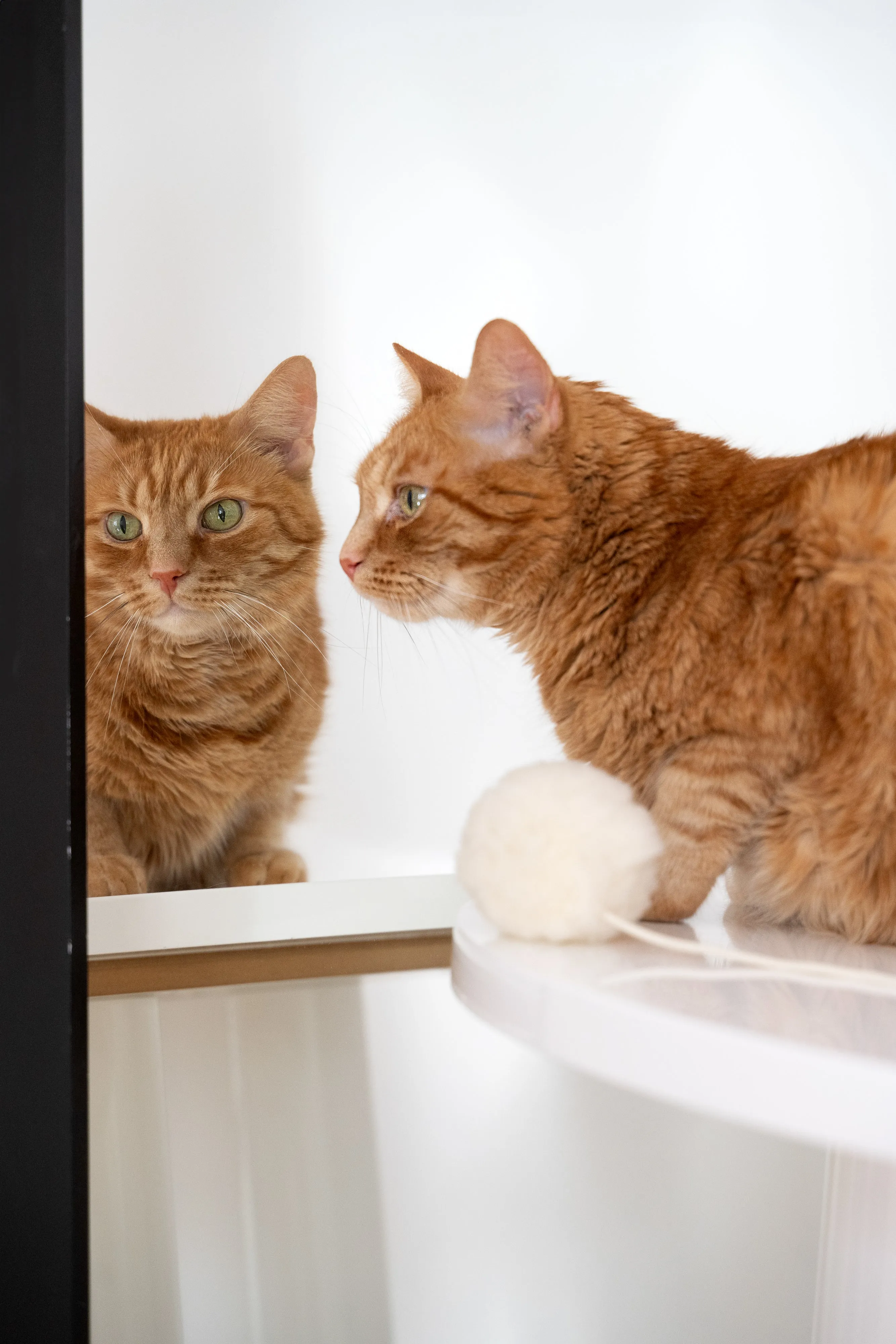 Natural Sheepskin Cat Toy: Ball