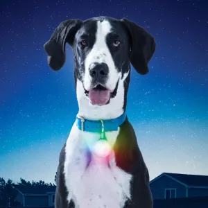 Niteize SpotLit XL Rechargeable Collar Light - Disc-O Se