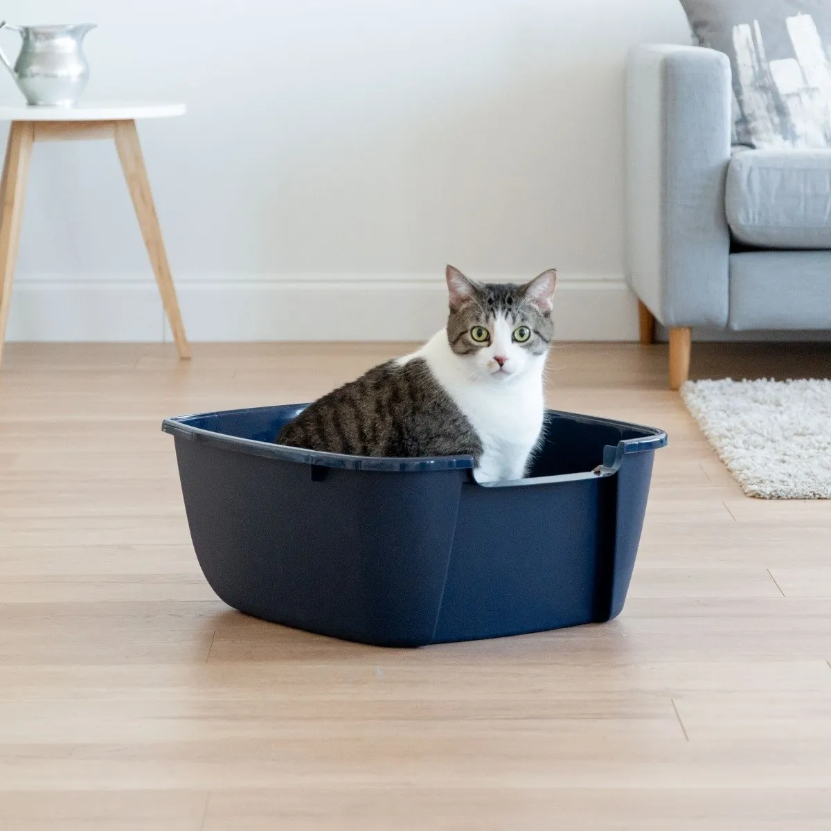 Open-Top Cat Litter Pan - Jumbo