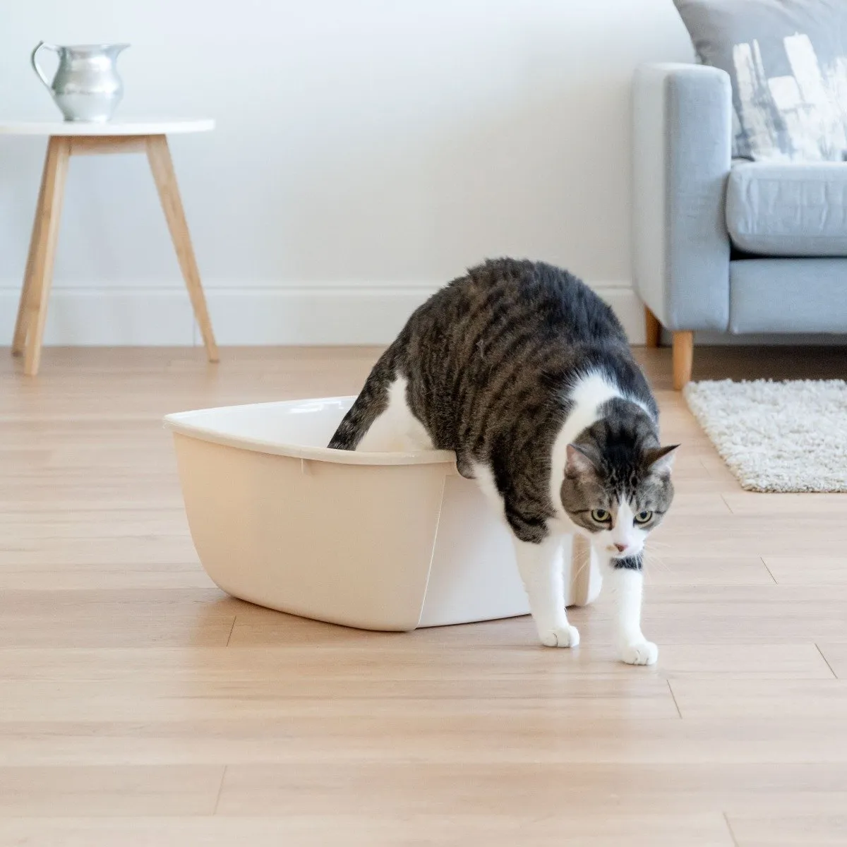 Open-Top Cat Litter Pan - Jumbo