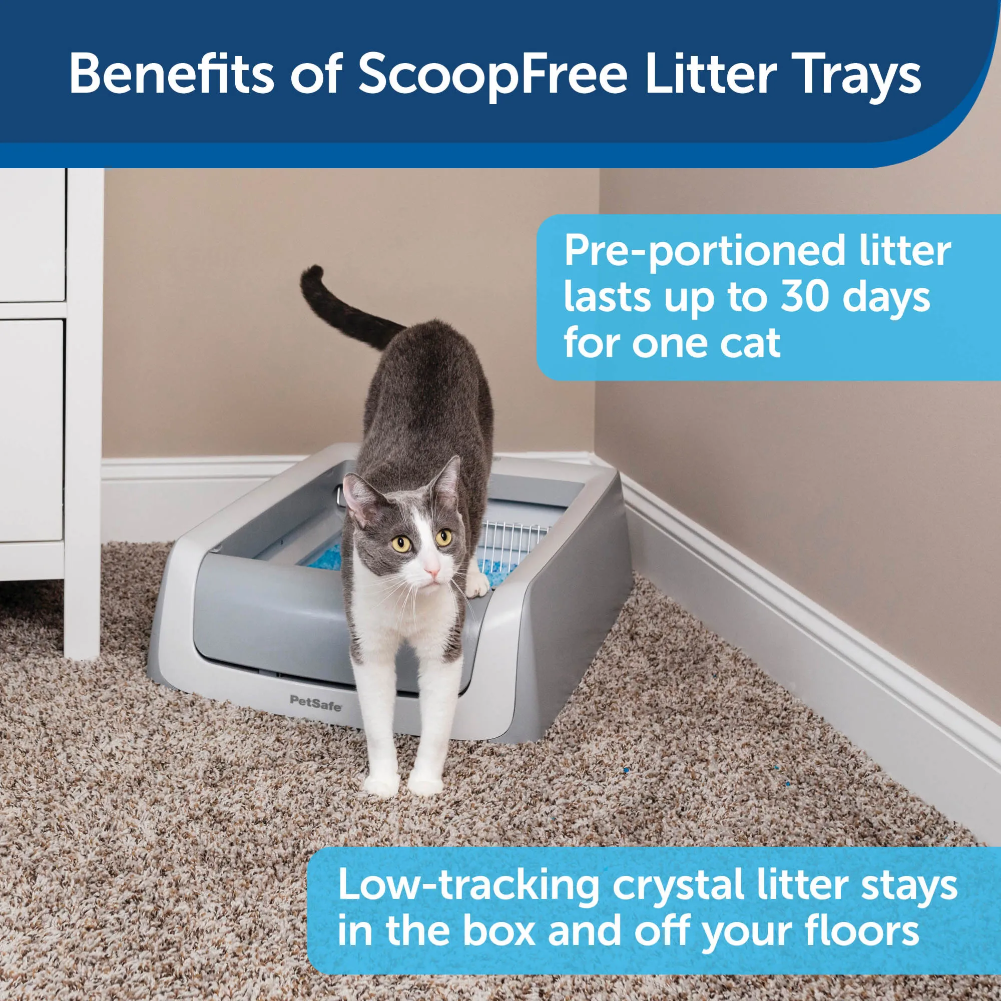 PetSafe ScoopFree Replacement Blue Crystal Litter Tray, 3-Pack – Easy Cleanup with Disposable Tray – Includes Leak Protection and Low Tracking Litter – Absorbs Odors on Contact