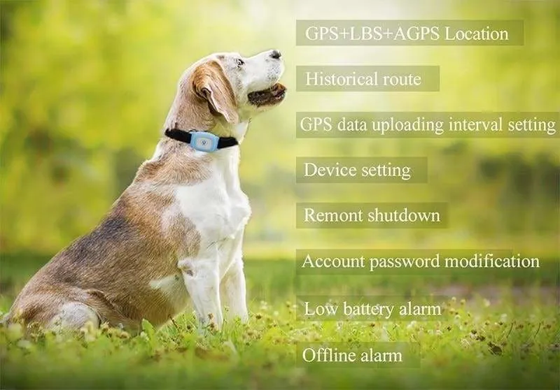 Smart GPS Pet Collar Tracker