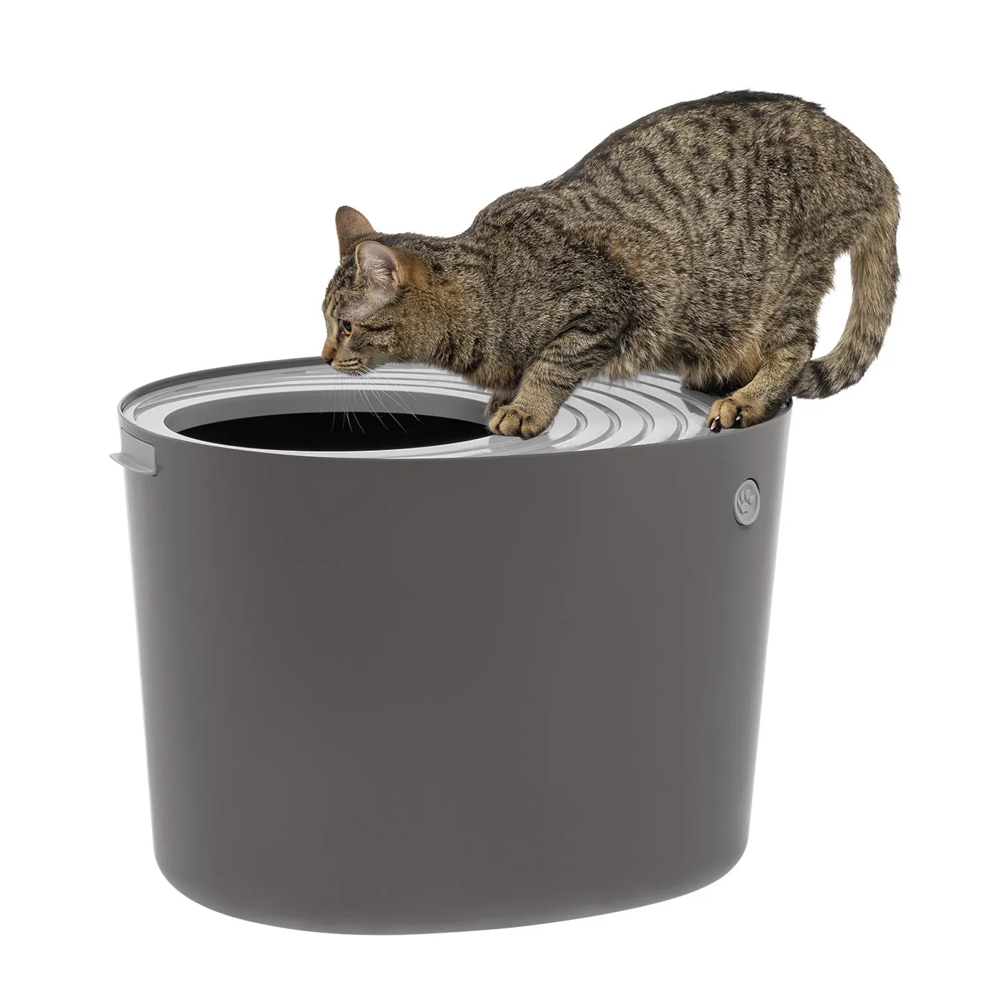 Top Entry Cat Litter Pan - Large