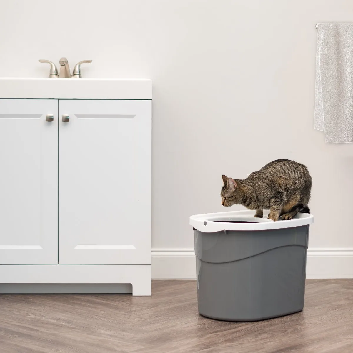 Top Entry Cat Litter Pan with Perforated Lid