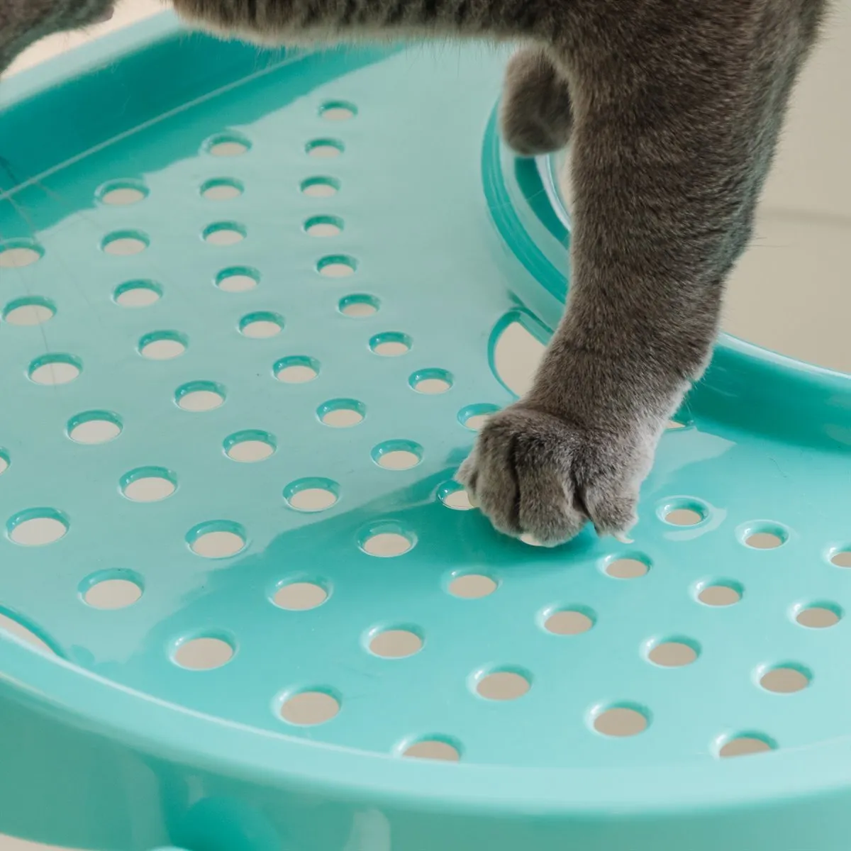 Top Entry Cat Litter Pan with Perforated Lid