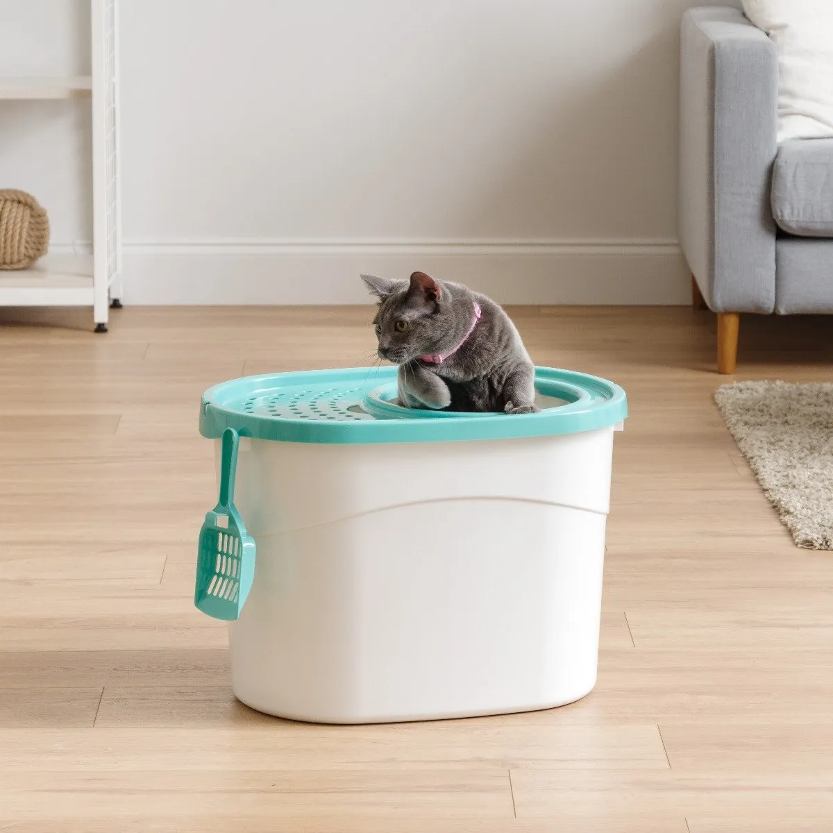 Top Entry Cat Litter Pan with Perforated Lid