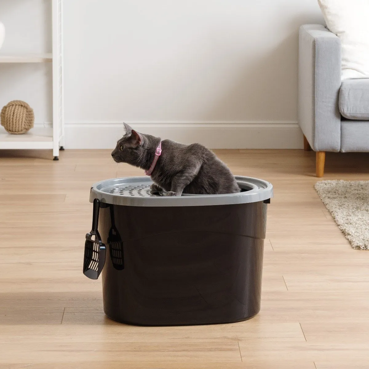 Top Entry Cat Litter Pan with Perforated Lid