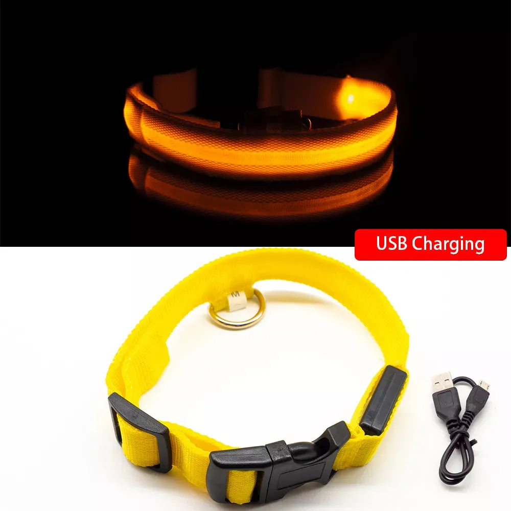 USB Charging/Battery replacement Led Dog Collar Anti-Lost Collar For Dogs Puppies Dog Collars Leads LED Supplies Pet Products