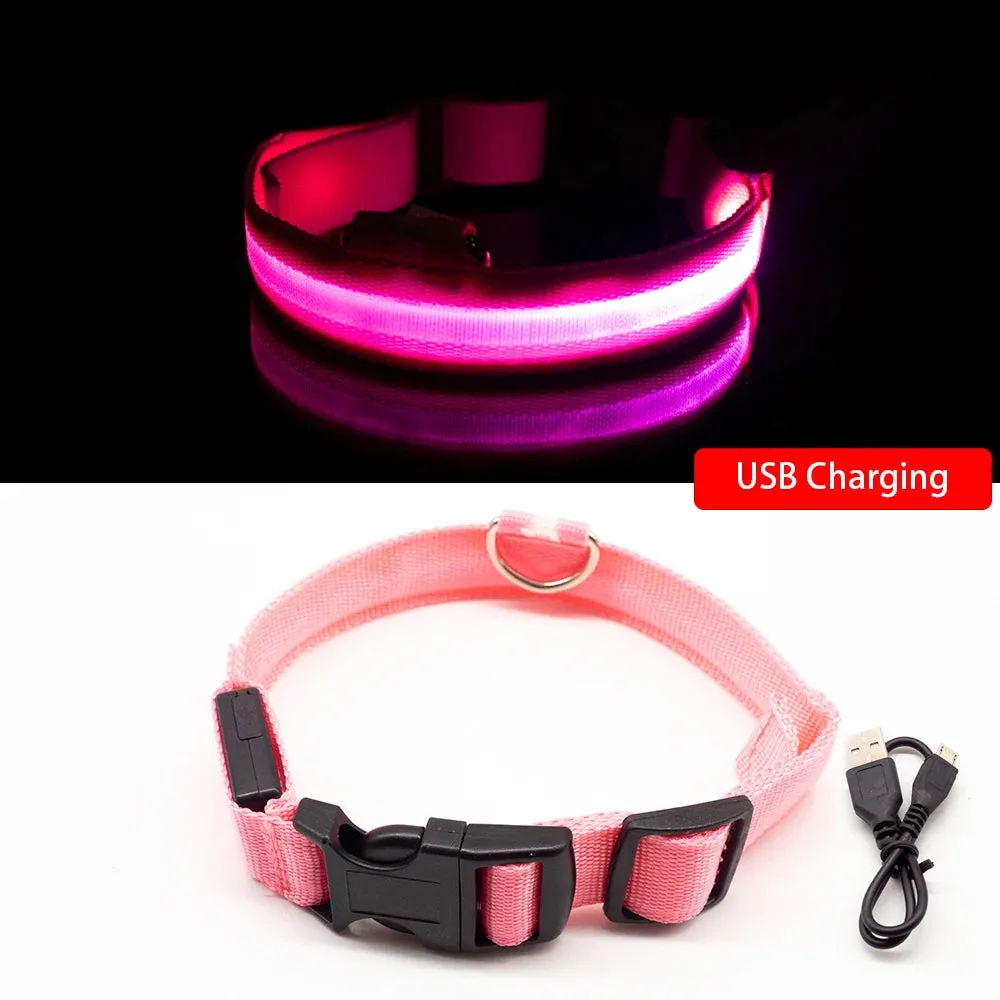 USB Charging/Battery replacement Led Dog Collar Anti-Lost Collar For Dogs Puppies Dog Collars Leads LED Supplies Pet Products