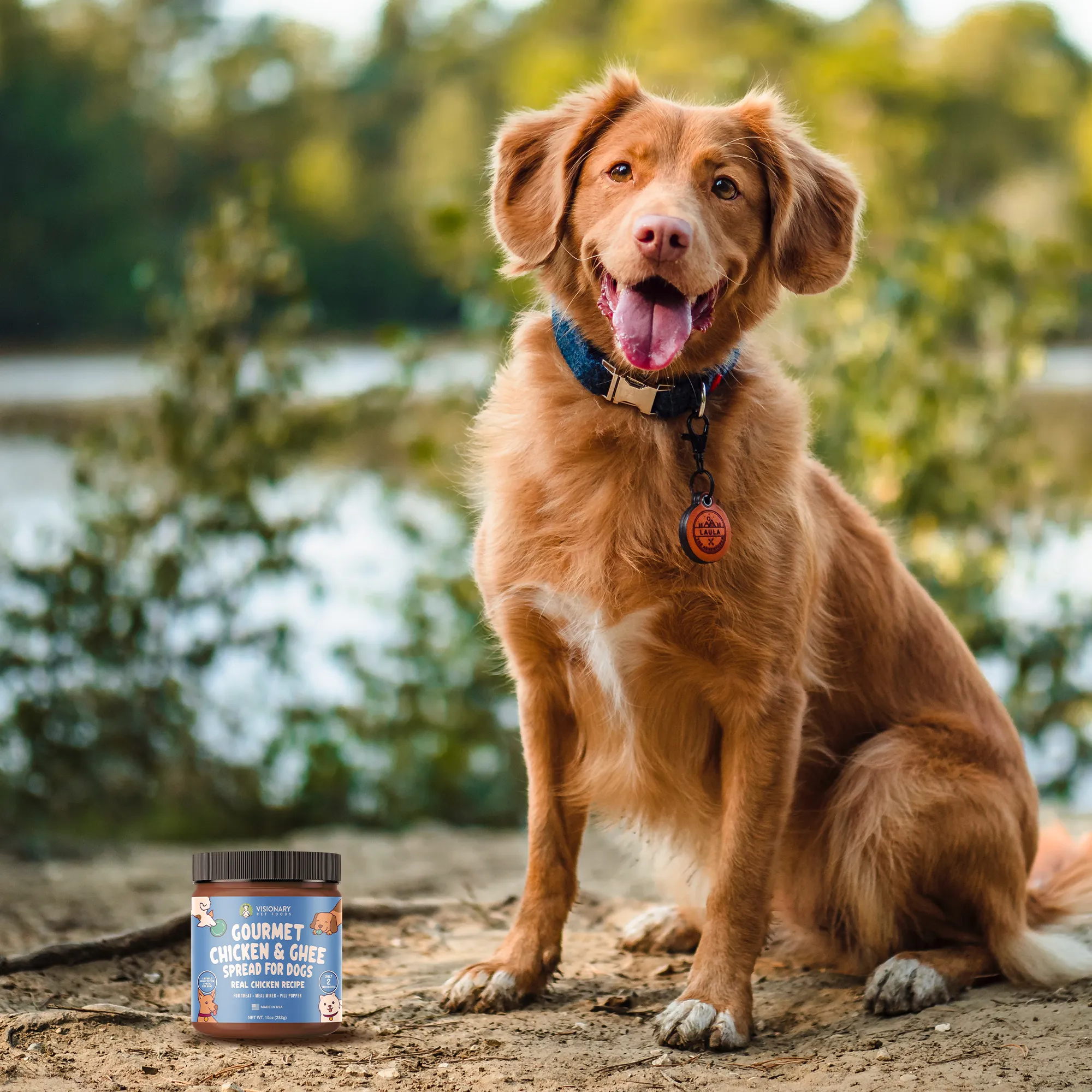 Visionary Pet Foods - Chicken Meat Spread for Dogs | Healthier Choice to Peanut Butter  | 10oz Jar